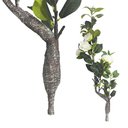 Ver imagem 2 de Planta Artificial Camélia em Cetim Decorativa 88cm