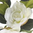 Ver imagem 6 de Planta Artificial Camélia em Cetim Decorativa 88cm