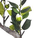 Ver imagem 4 de Planta Artificial Camélia em Cetim Decorativa 88cm