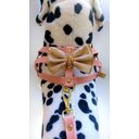 Ver imagem 1 de Peitoral Coleira E Guia Charminho Tamanho 2 -Cães Linha Luxo