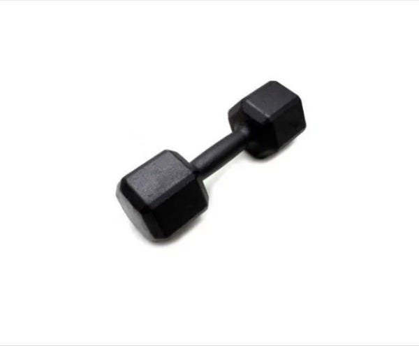 Halter 20kg Pesos Musculação Anilhas Dumbell Fitness Unidade - 1