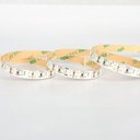 Ver imagem 4 de Fita de LED Odda Alto Irc 97 138LEDS-m 9W 12V 4000k Luz Neutra Nordecor 5 Metros