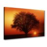 Quadro Decorativo Arvore Seca Por do sol 556 - 1