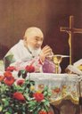 Ver imagem 1 de Quadro Decorativo Religioso São Padre Pio de Pietrelcina 40x60cm