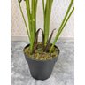 Planta Artificial Permanente Valence Palma Areca 160cm - 5