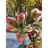 Planta Artificial Permanente Valence Croton 120cm - 5