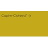 Tinta Acrílica Super Lavável Coral 3,2 Litros Amarelo - Capim Cidreira - 1