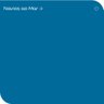 Tinta Acrílica Premium Decora 3,2L Coral Azul - Navios ao Mar - 1