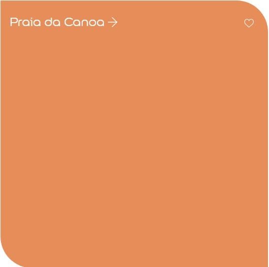 Tinta Acrílica Premium Decora 3,2L Coral Laranja - Praia da Canoa - 1
