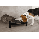 Ver imagem 2 de Comedouro Pet Aço Elevado Duplo Suporte Cão Gato Cachorro