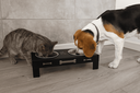 Ver imagem 2 de Comedouro Pet Aço Elevado Duplo Suporte Cão Gato Cachorro