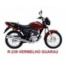 Tinta Honda CG Titan 150 2004 a 2007 Vermelho Guarau Poliéster 900ml - 2