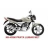 Tinta Honda CG Titan 150 2004 a 2007 Prata Lumiar Met. Poliéster 900ml - 2