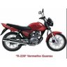 Tinta Honda GC 150 2008 Poliéster Vermelho Guarau 900ml - 2
