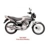 Tinta Honda GC Titan 125cc 2002 a 2004 Poliéster Prata Ibiúna Metálico 900ml - 2