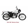 Tinta Honda CG 125 Fan Branco Ross Poliéster 900ml - 2