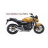 Tinta Honda CB600F Hornet Amarelo Poliéster 900ml - 2