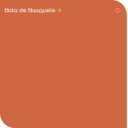 Ver imagem 1 de Tinta Acrílica Coral Premium Renova 800ml Laranja - Bola de Basquete