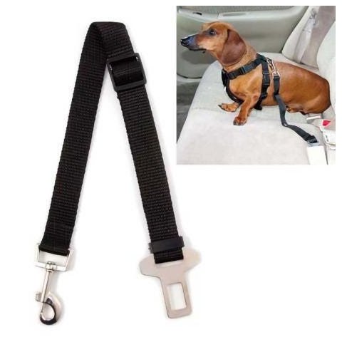 Cinto de Segurança Pet