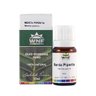 Óleo Essencial de Menta Piperita (Hortelã-Pimenta) – 10 mL WNF - 1