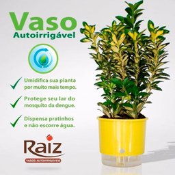 Vaso Raiz Auto Irrigável Grande N4 Branco Temperos Kit 3 Pcs - 3