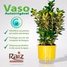 Vaso Raiz Auto Irrigável Grande N4 Branco Temperos Kit 3 Pcs - 3