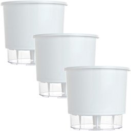 Vaso Raiz Auto Irrigável Grande N4 Branco Temperos Kit 3 Pcs - 1