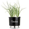 Vaso Raiz Autoirrigável N3 Preto Cebolinha Temperos Promo - 1