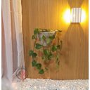 Ver imagem 2 de Vaso Decorativo para Plantas Parede Tamanho P:cinza