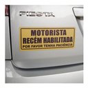 Ver imagem 2 de Ímã De Carro Motorista Recém Habilitada