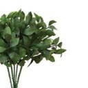 Ver imagem 2 de Pick Folha de Laranjeira 23cm Ly029 Brilliance