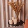 Trio de velas decorativas de tronco de eucalipto - 2