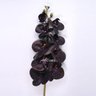 6 Hastes de Orquídea Negra Artificial 9 flores 97cm Preto - 2