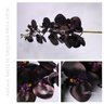 6 Hastes de Orquídea Negra Artificial 9 flores 97cm Preto - 4