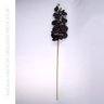6 Hastes de Orquídea Negra Artificial 9 flores 97cm Preto - 3