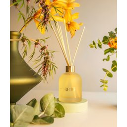 Difusor Patbo Vanilla Bloom 200ml Lenvie - 2 Difusor Patbo Vanilla Bloom 200ml Lenvie - 2