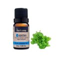 Ver imagem 2 de OLEO ESSENCIAL 10ML COENTRO PURO NATURAL