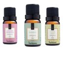 Ver imagem 1 de Kit 3 Essências 10ml Lavanda Francesa, Bamboo, Capim Limão