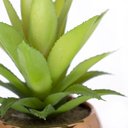 Ver imagem 3 de Vaso Decorativo Dourado com Suculenta Artificial Aloe Vera Mini 16x8 cm F04 - D’Rossi Vaso co