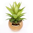 Ver imagem 1 de Vaso Decorativo Dourado com Suculenta Artificial Aloe Vera Mini 16x8 cm F04 - D’Rossi Vaso co