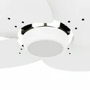 Ver imagem 2 de Ventilador de Teto Com Controle Remoto Natuvent Dahlia Led 4 Pás Madeira Branco 4000k Branco Neutro 