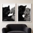 Ver imagem 1 de Kit 2 Quadros para Quarto de Casal - Pantera e Onça 24x18cm:moldura Branca