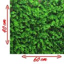 Ver imagem 2 de Kit 2 Placas Verde Jardim Vertical Artificial Muro Inglês 40x60cm