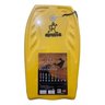 Prancha de Surf Bodyboard Surf Radical Junior Bb03 88x50 Cm - 1