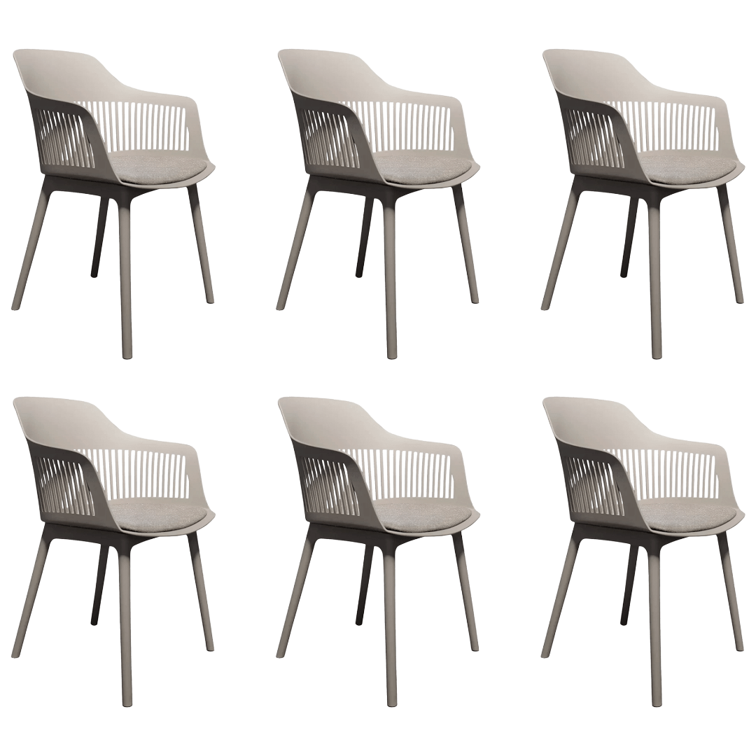 Kit 6 Cadeiras De Jantar Design Marcela Fendi