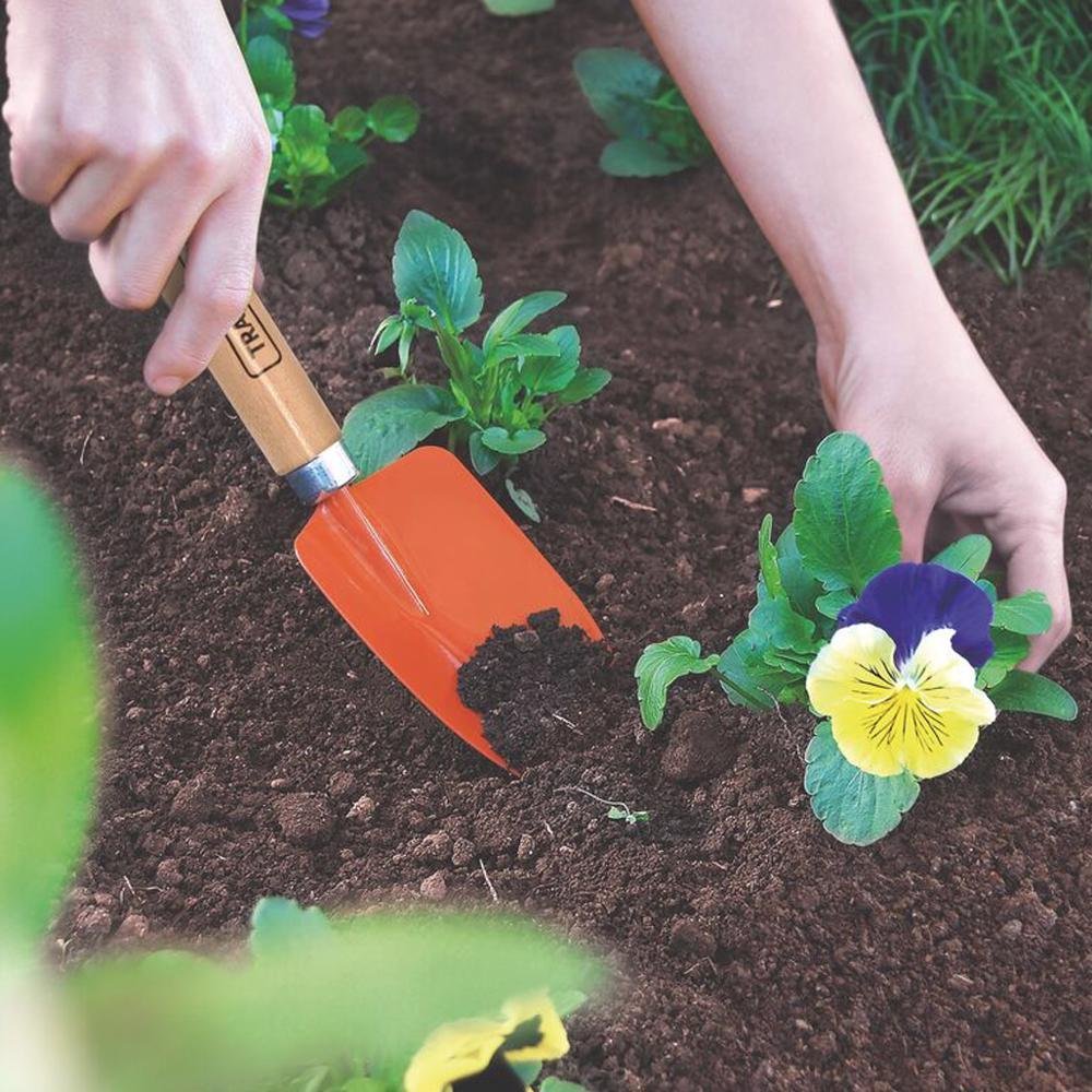 Pazinha Estreita Metálica para Jardinagem com Cabo de Madeira - Tramontina 77908001 - 3