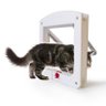 Porta Portinha De Passagem P Gato Cachorro 4 Em 1 Pet - 3