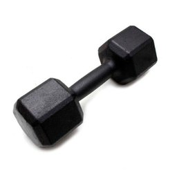 Dumbbell - Halter Sextavado de Ferro Polido 30 kg - Rae Fitness - 1
