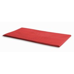 Colchonete em Napa com Espuma 100 X 60 X 3 Cm - Vermelho - 1