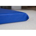 Ver imagem 1 de Colchonete Para Academia e Ginástica 90 X 40 X 3 Cm D 28 - Azul Royal